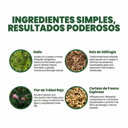 Gotas Para Drenaje Linfático Drenox®